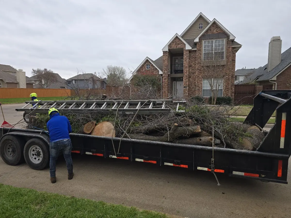 Expert Tree Fertilization with proper safety equipment in Roark